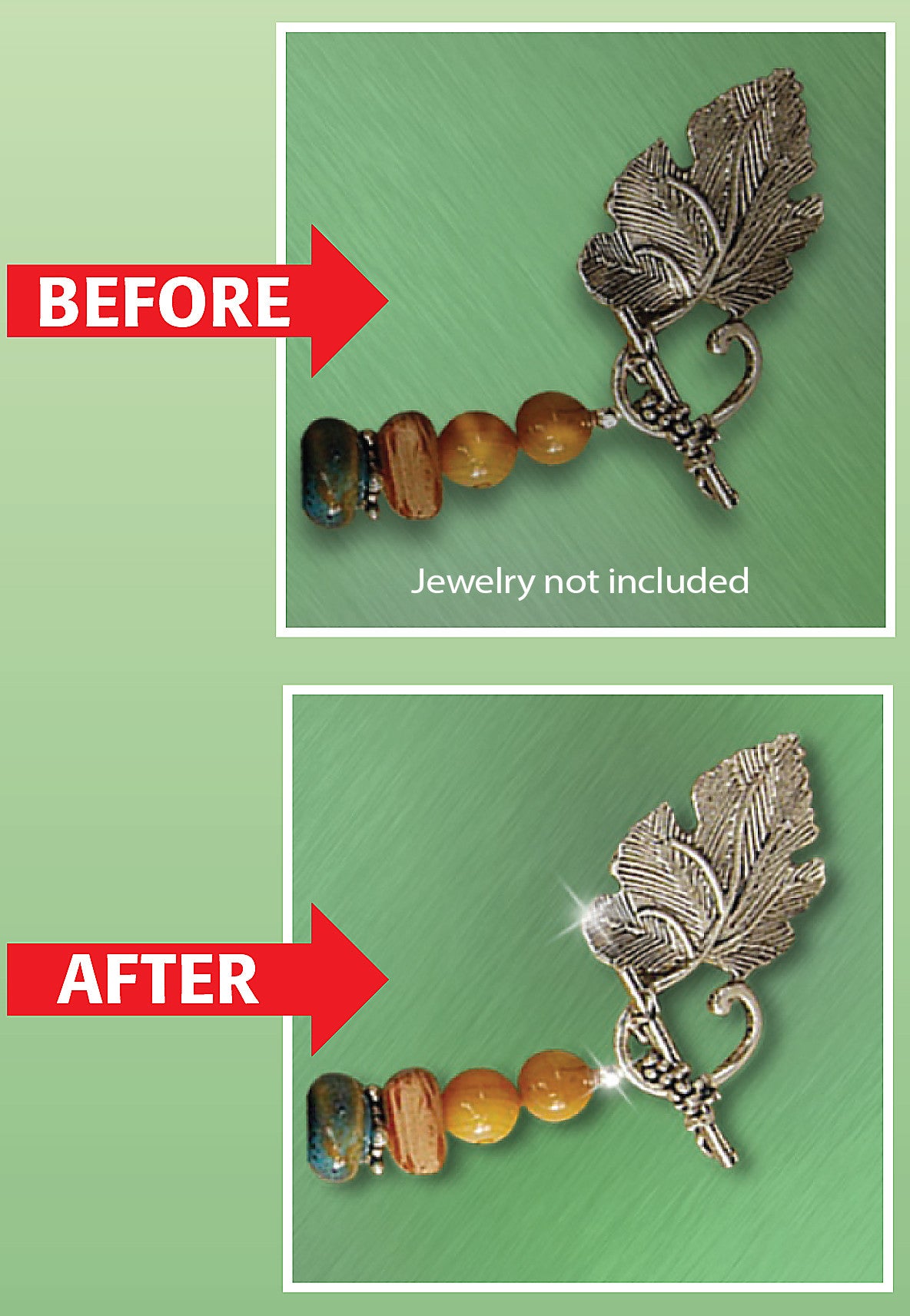 World's Best Jewelry Cleaner